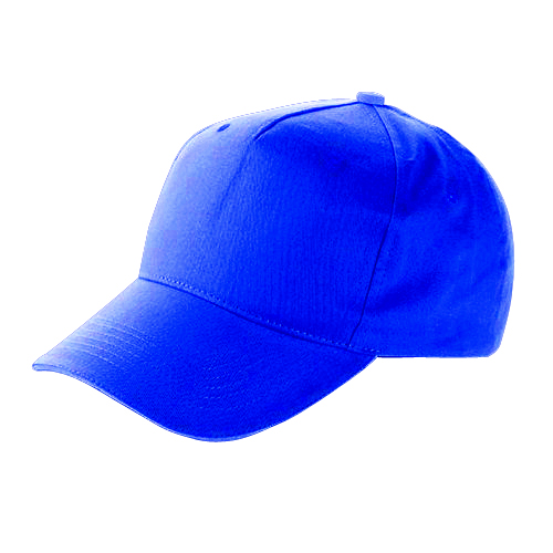 CASQUETTE COT BROSSE BLEU [DCB5BW]